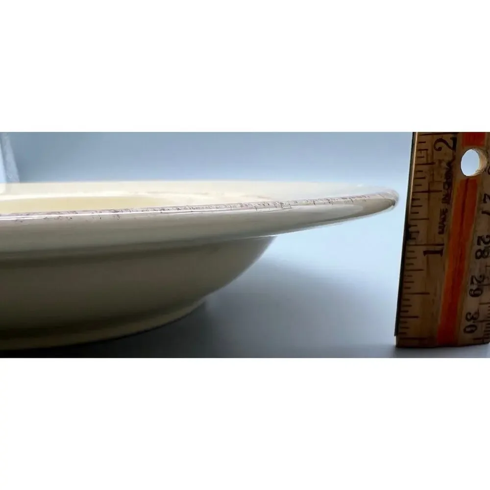 Pier 1 Toscana Ivory Set of 2 Pasta Bowls , Made in Italy, Discontinued